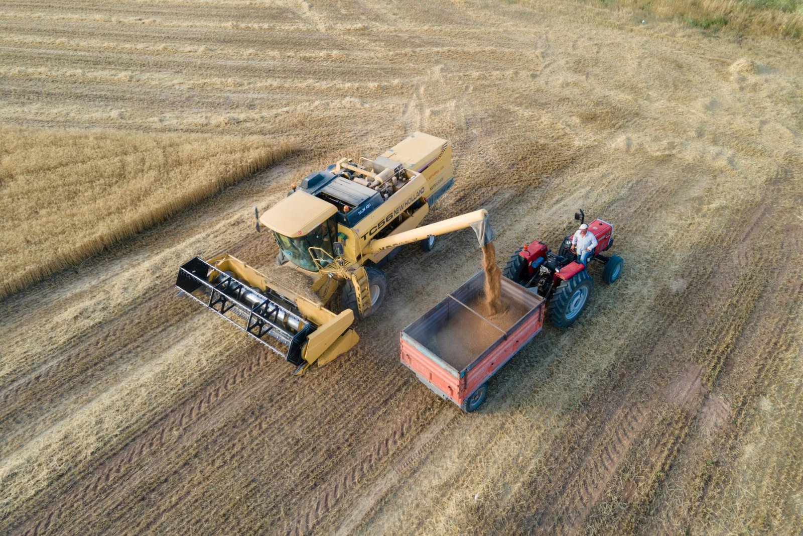 Australian Farming Companies Offering Visa Sponsorship