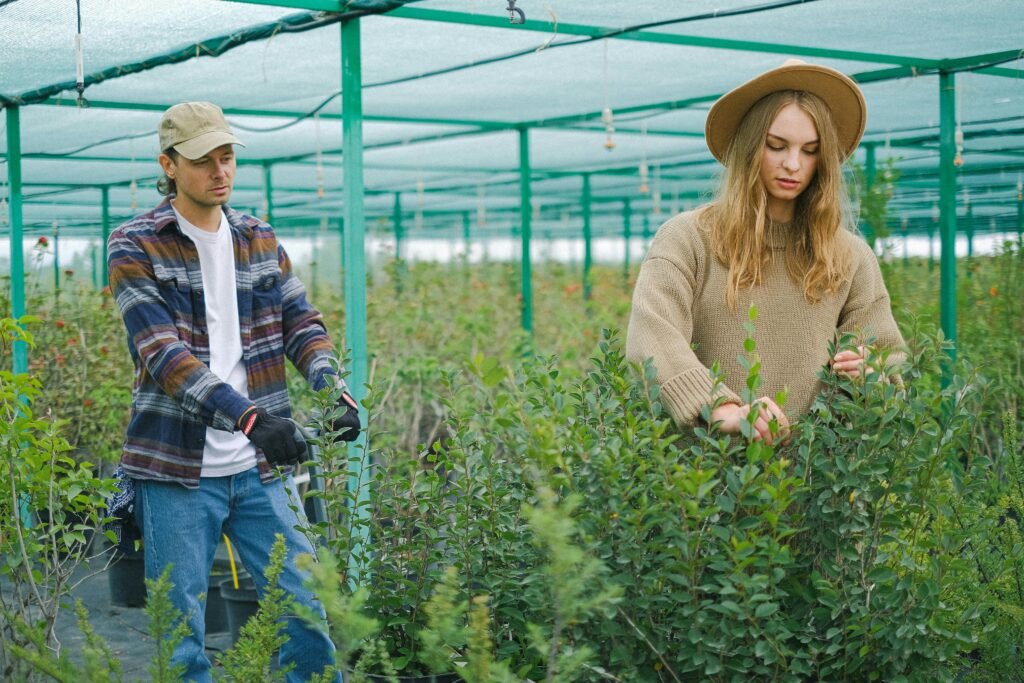 Farm Jobs Visa Sponsorship